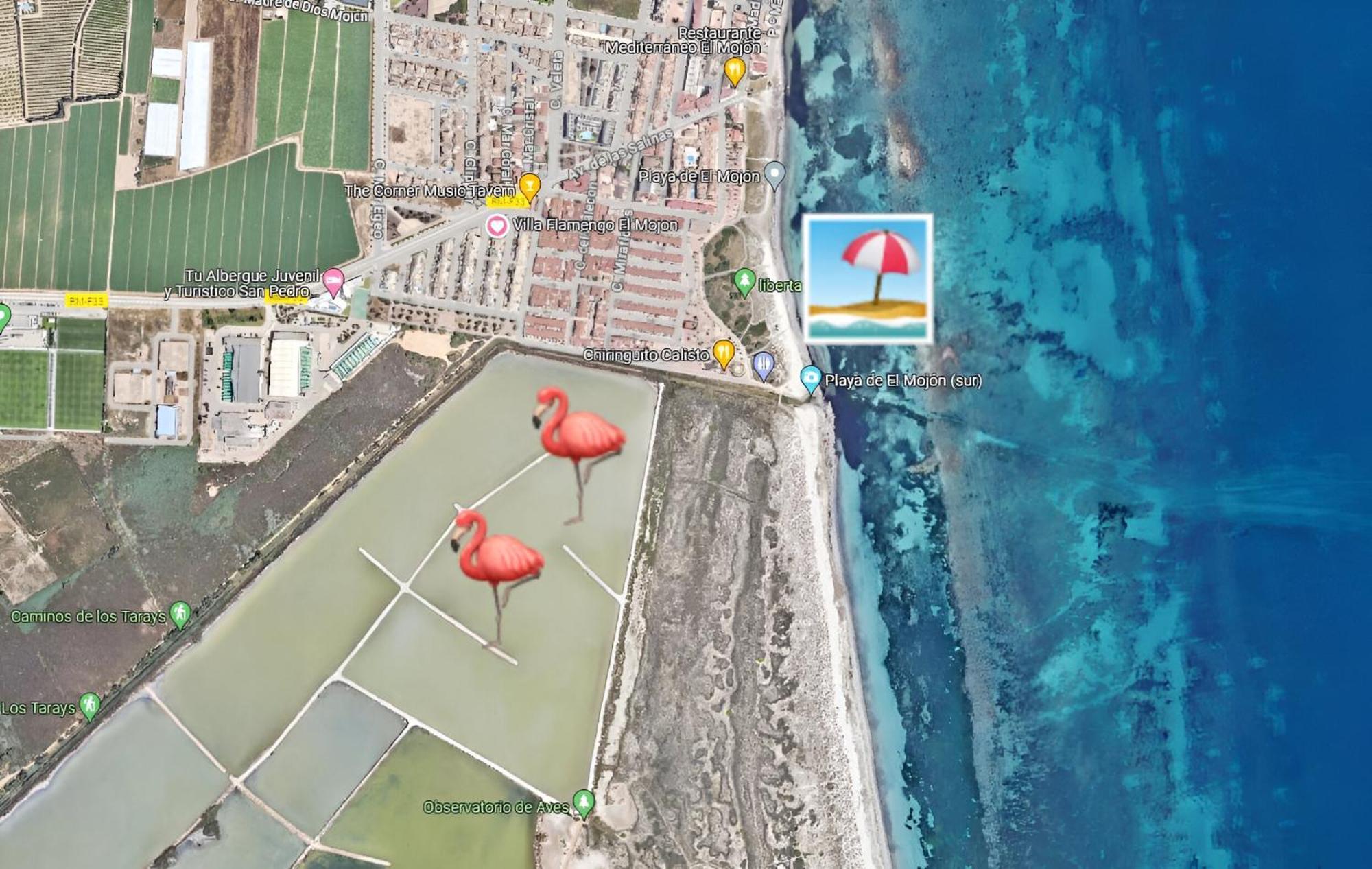Flamingo Vila Alicante San Pedro del Pinatar Kültér fotó